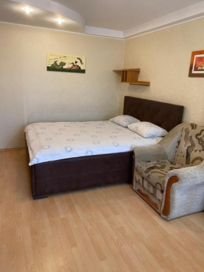  Studio on Vandy Vasylevskoi 8  Киев